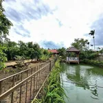 Nhà vườn Buôn Ma Thuột gần chợ, 1012m² đất, 3,65 tỷ - Ảnh thu nhỏ 5