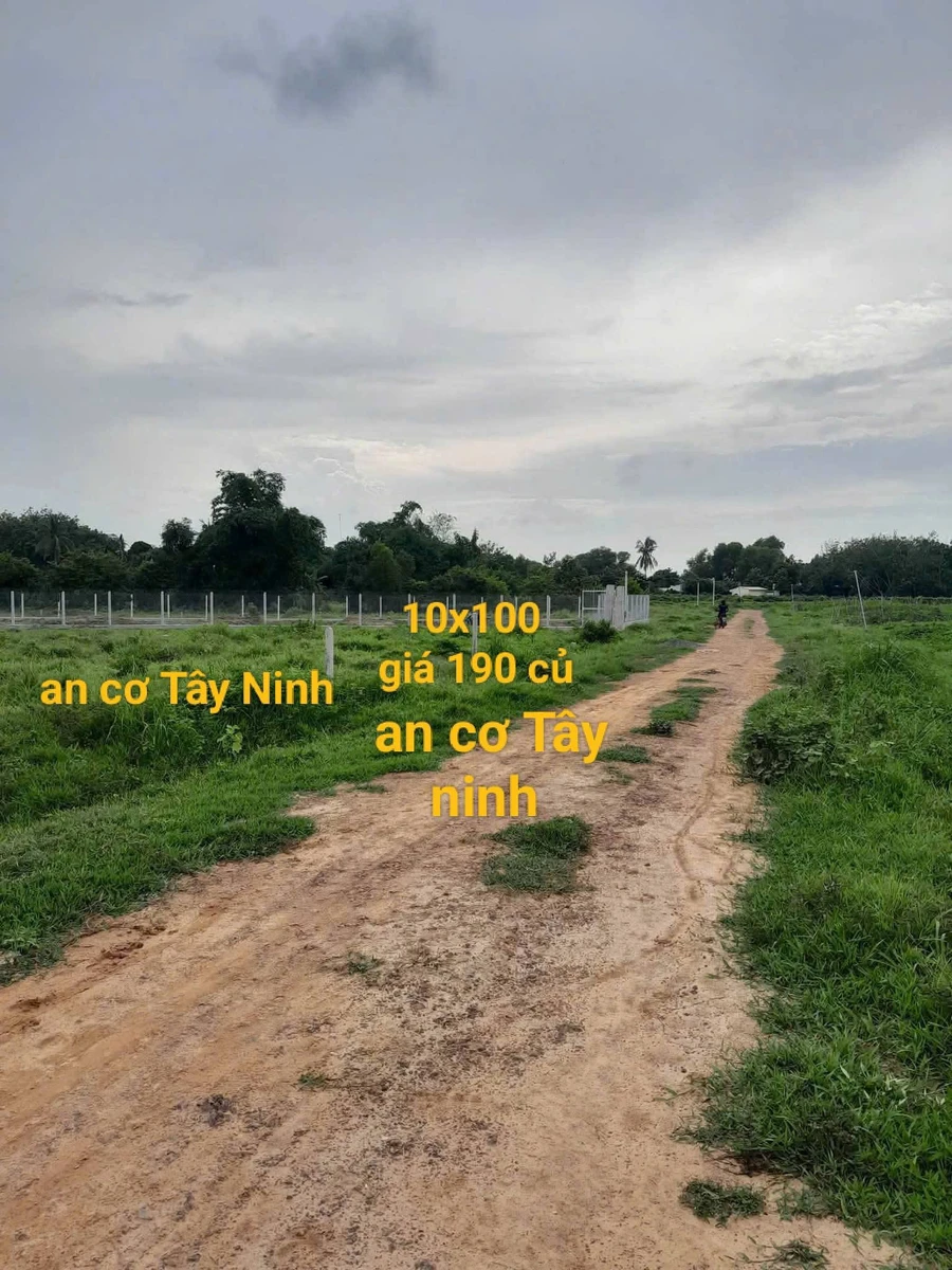 Bán lô đất 1000m² tại An Cơ, Châu Thành, Tây Ninh, giá 190 triệu - Ảnh 1