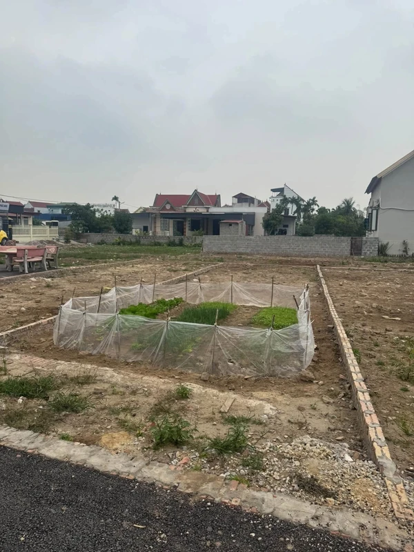 Bán đất mặt thôn 72,2m² Đoàn Xá Kiến Thuỵ 1,2 tỷ