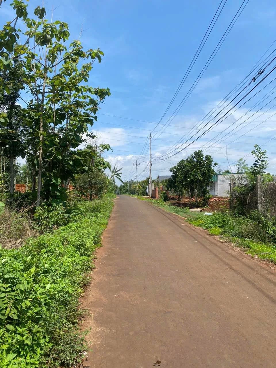 Bán lô đất thổ cư 528m² tại Hòa Phú, Đắk Lắk 1,2 tỷ - Ảnh 1