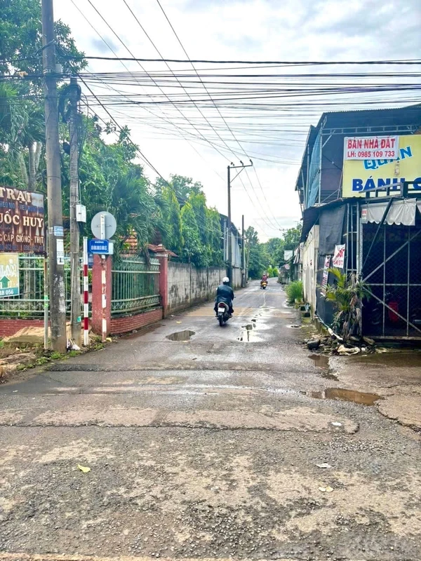 Bán lô đất 8060,9m2 mặt tiền hơn 100m, vườn trái cây tại Phường Dầu Dây, Đồng Nai