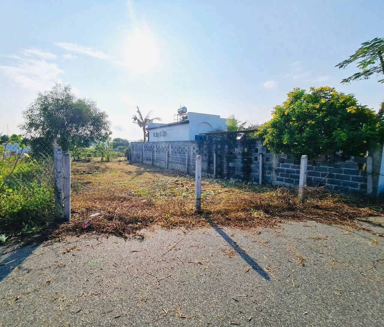 Đất bán Phước Hội Bà Rịa Vũng Tàu 193.6m2 giá 1 tỷ 900 triệu - Ảnh 1
