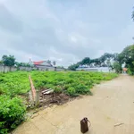 Bán đất nền thổ cư Bầu Cối 201.6m² giá 870 triệu - Ảnh thu nhỏ 4