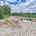 Bán đất vườn 1540m² Vĩnh Công Tây Ninh 990 triệu - Ảnh thu nhỏ 3