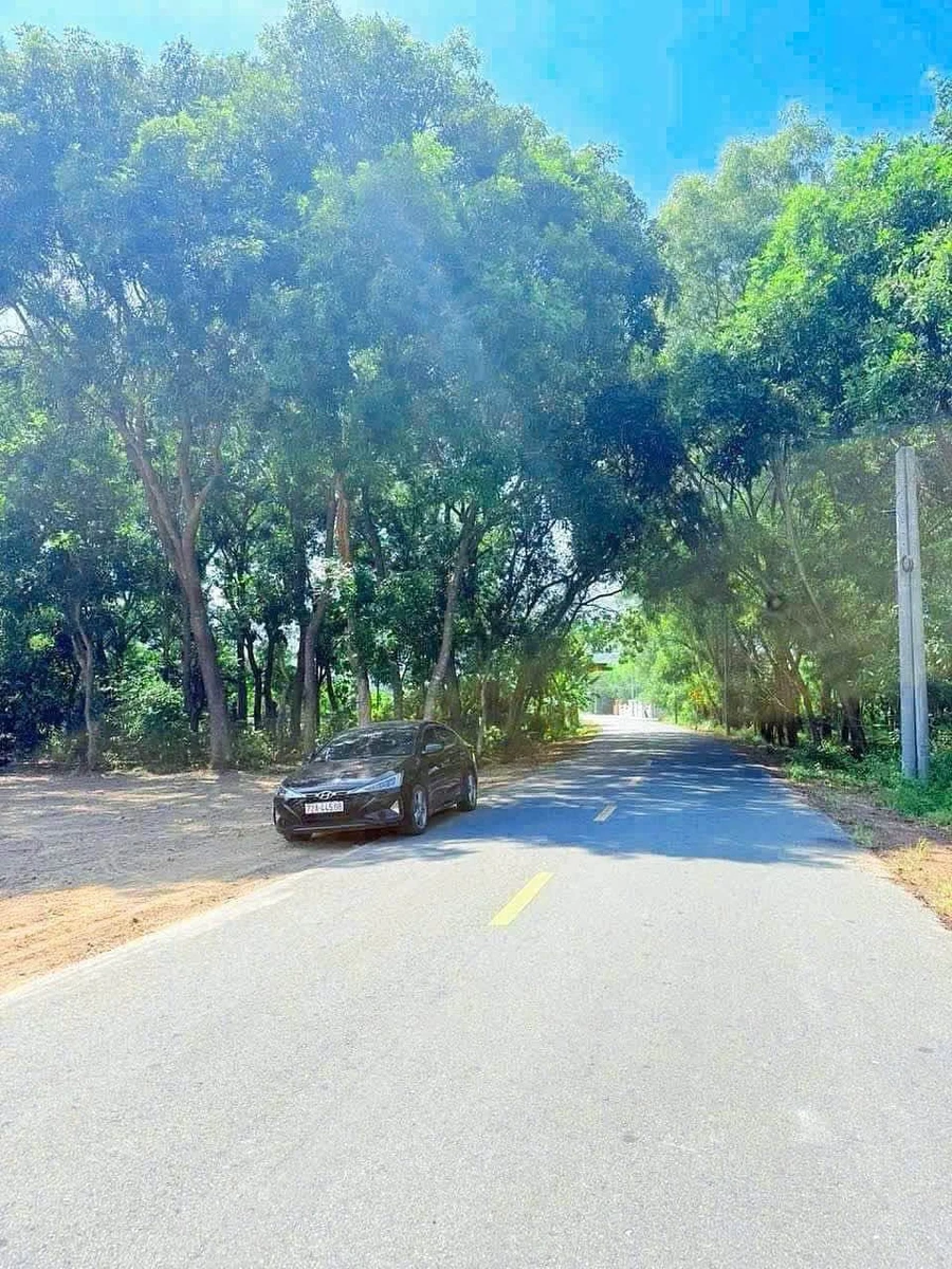 Bán đất 300m2 view núi Minh Đạm, có sẵn 80m2 thổ cư, xã Phước Hải - Ảnh thu nhỏ 2