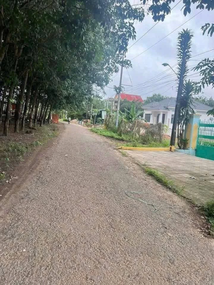 Bán đất Đồng Xoài Bình Dương 1 tỷ 100 triệu - Ảnh thu nhỏ 2