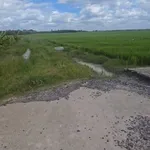 Bán đất lúa Phước Ninh 1000m² sổ sẵn 580 triệu - Ảnh thu nhỏ 1