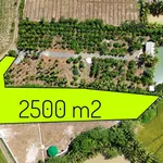 Bán 2,5 sào đất view Bà Rịa - Vũng Tàu 1 tỷ 90 - Ảnh thu nhỏ 1