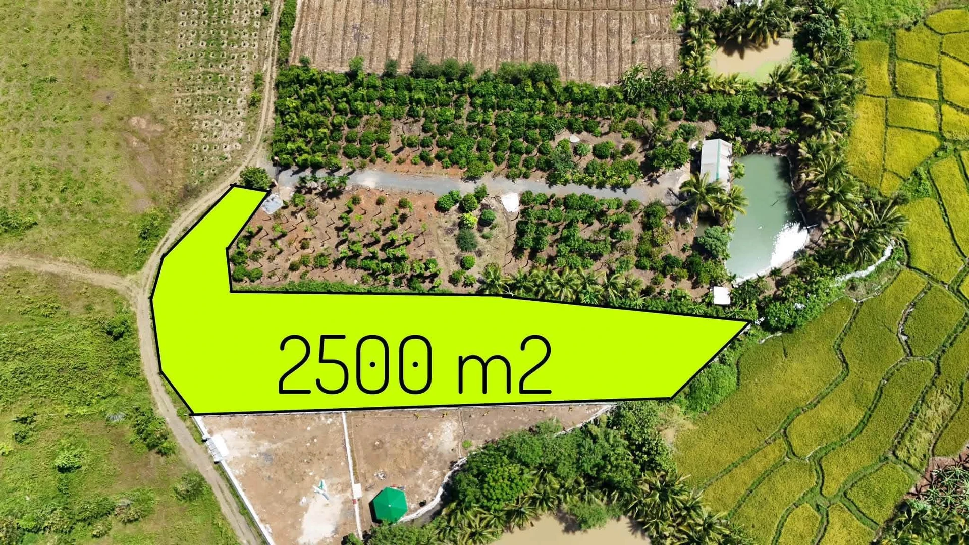 Bán 2,5 sào đất view Bà Rịa - Vũng Tàu 1 tỷ 90 - Ảnh 1