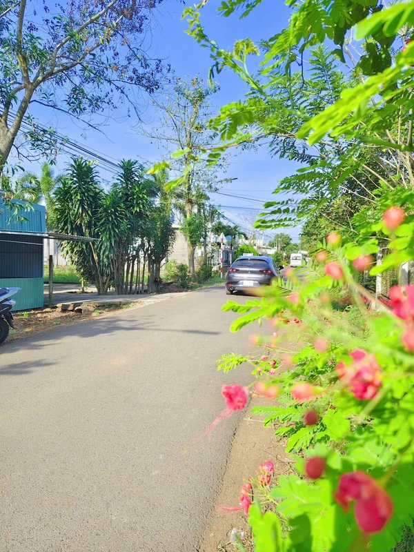 Bán đất Long Khánh 220m², 420 triệu