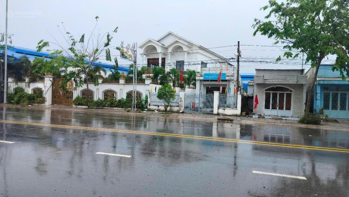 Ngân hàng thanh lý biệt thự đường Mạc Đĩnh Chi - Ảnh thu nhỏ 4