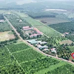 Bán đất mặt đường 300m² Phủ Hồng gần trường học - Ảnh thu nhỏ 3