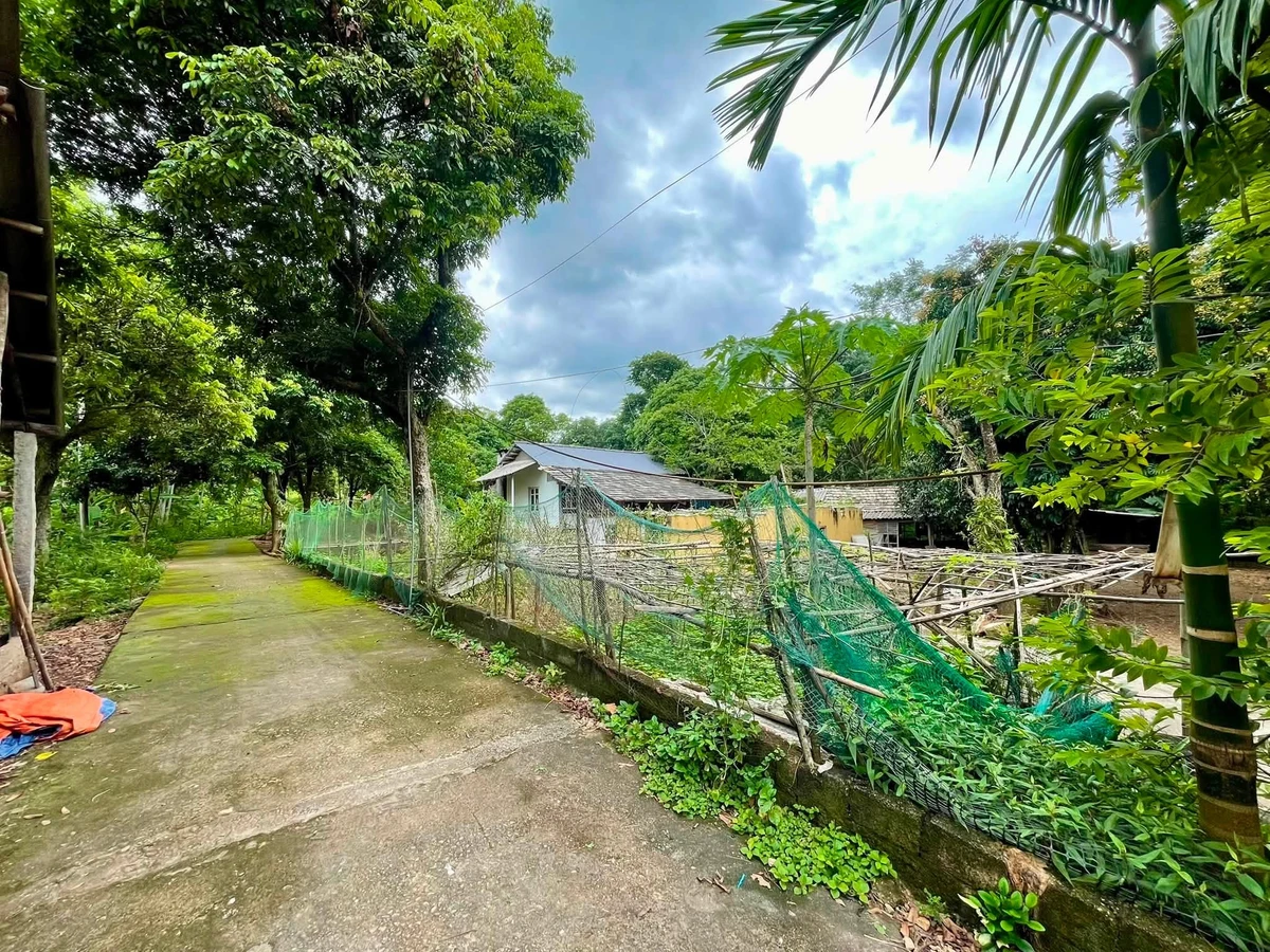 Bán đất 1.400m2 tại khu du lịch Nà Phòn Mai Châu, giá 1 triệu/m2 - Ảnh thu nhỏ 2