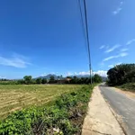 Bán đất Diên Thọ Cầu Rút 73.6m² 385 triệu - Ảnh thu nhỏ 4