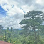 Bán đất tặng nhà view rừng thông 45m2 đường 3/4, Phường 3, Đà Lạt - Ảnh thu nhỏ 1