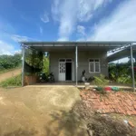 Bán rẫy cà phê 1ha7 Phường Đông Gia Nghĩa - Ảnh thu nhỏ 5
