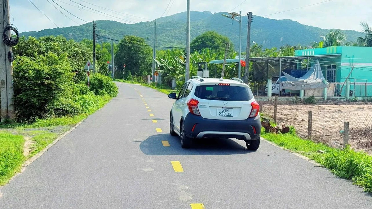Bán đất vườn xoài 610m2 Phước Hải, Long Đất, Bà Rịa - Vũng Tàu - Ảnh thu nhỏ 3