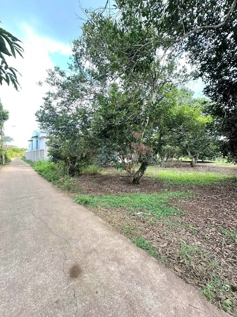 Bán đất 500m² Bảo Vinh Suối Chồn Long Khánh 1,25 tỷ - Ảnh thu nhỏ 2