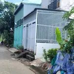 Bán dãy trọ 125m² có SHR khu Tân Đức, Bình Chánh - Ảnh thu nhỏ 5