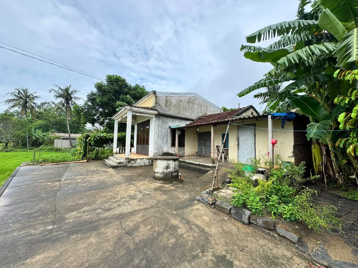 Bán đất vườn Tịnh Hoà 248m2, đường ô tô - Ảnh 1
