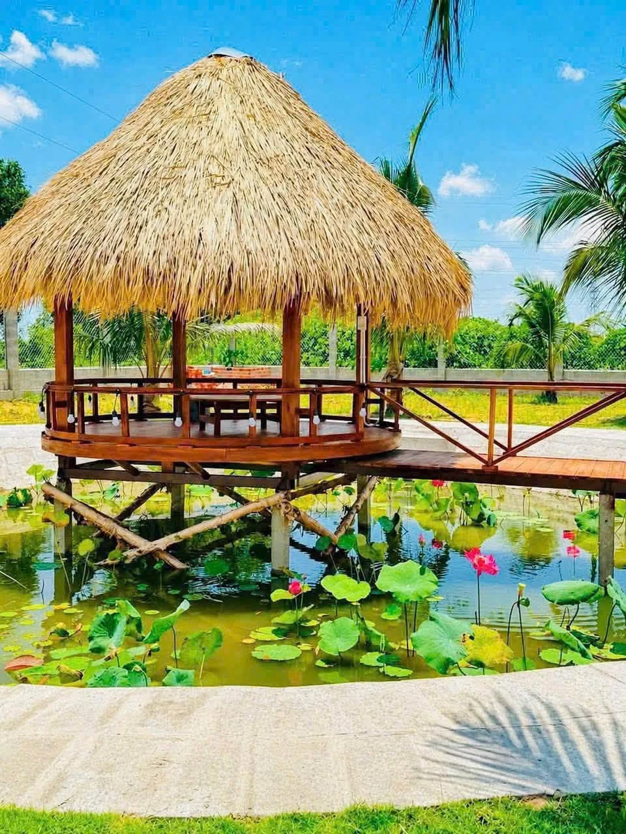 Bán nhà vườn 1.600m² tại Hàm Chính, Lâm Đồng, 1 tỷ 790 triệu - Ảnh thu nhỏ 4