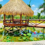 Bán nhà vườn 1.600m² tại Hàm Chính, Lâm Đồng, 1 tỷ 790 triệu - Ảnh thu nhỏ 4