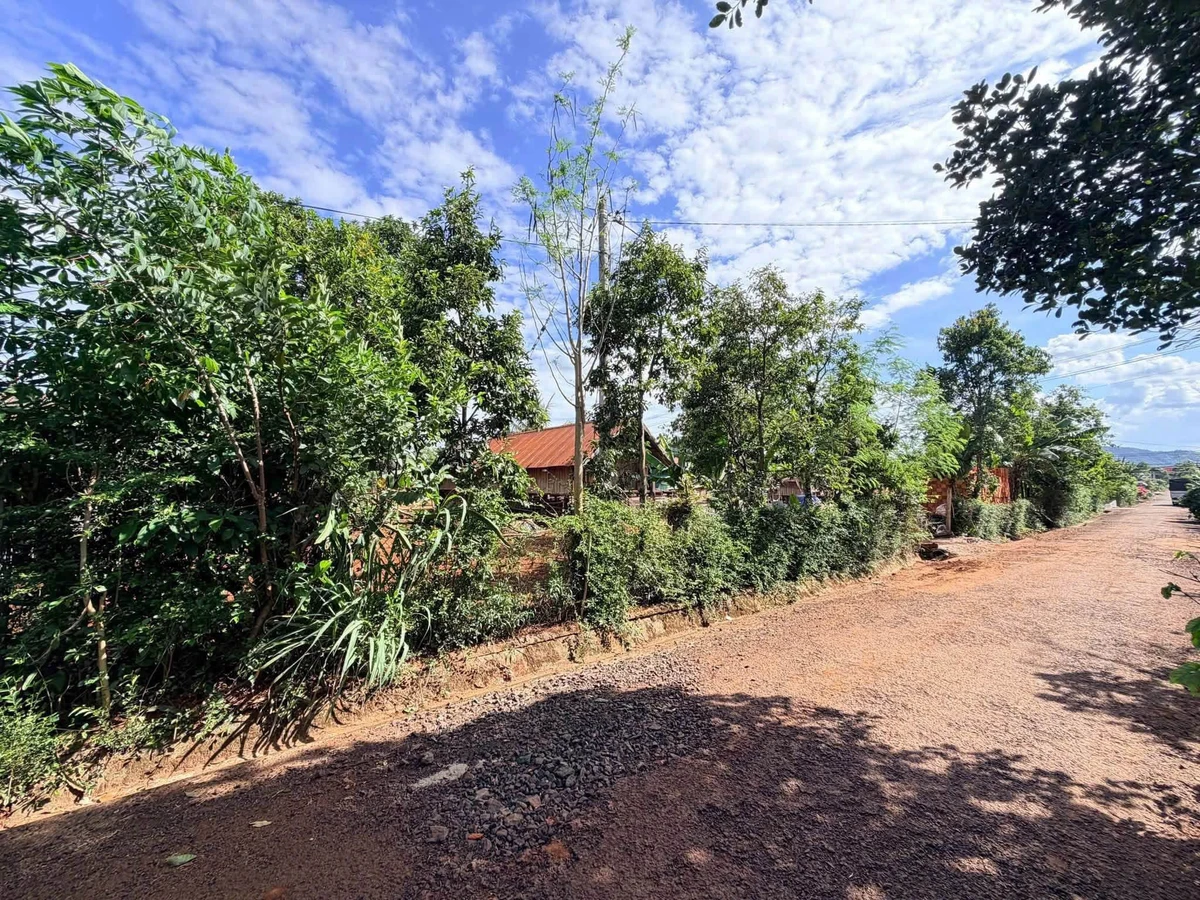 Bán đất 5x28m thổ cư 60m2 đường nhựa 12m Thôn 6 Cuebur, Buôn Ma Thuột - Ảnh thu nhỏ 2