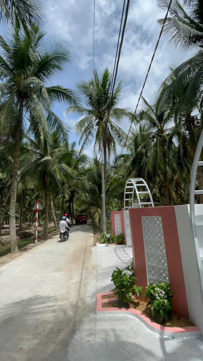 Bán đất vườn 150m2 có 100m2 thổ cư, đủ cây ăn trái, giá 295 triệu tại Tân Phú Đông, Tiền Giang - Ảnh thu nhỏ 3
