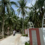 Bán đất vườn 150m2 có 100m2 thổ cư, đủ cây ăn trái, giá 295 triệu tại Tân Phú Đông, Tiền Giang - Ảnh thu nhỏ 3
