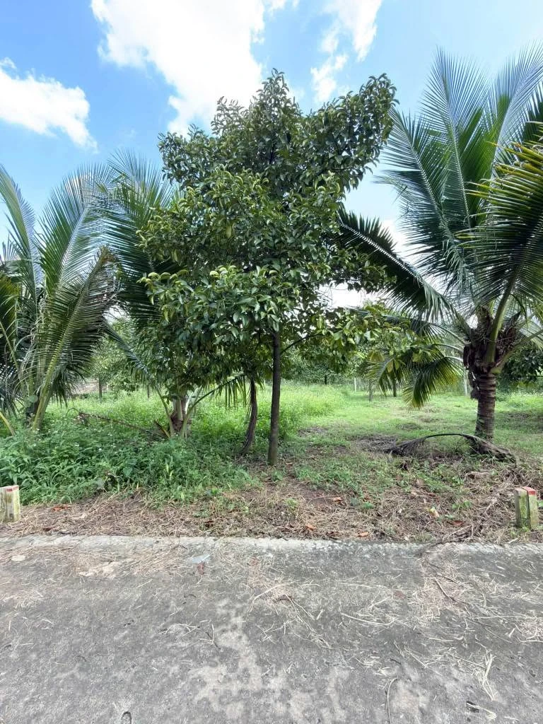 Đất bán Phường Bảo Vinh 125m² 635 triệu - Ảnh thu nhỏ 3