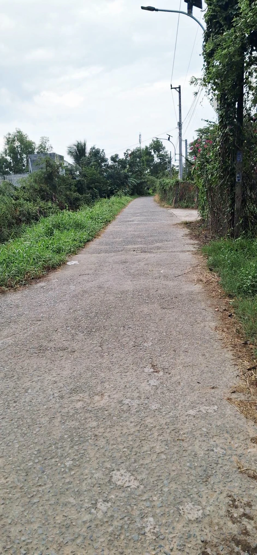 Bán đất 2400m² thổ cư 200m² Bình Thuận, Bình Thạnh - Ảnh 1