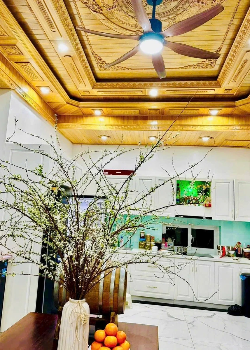 Bán biệt thự 3 tầng 318m2 mặt tiền Tăng Bạt Hổ, Huế - Ảnh thu nhỏ 4