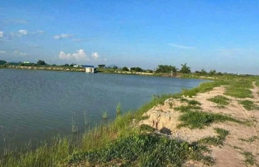 Bán đất cây trồng 190m2 sổ hồng riêng Hàm Liêm Khánh Hòa - Ảnh thu nhỏ 3