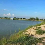 Bán đất cây trồng 190m2 sổ hồng riêng Hàm Liêm Khánh Hòa - Ảnh thu nhỏ 3