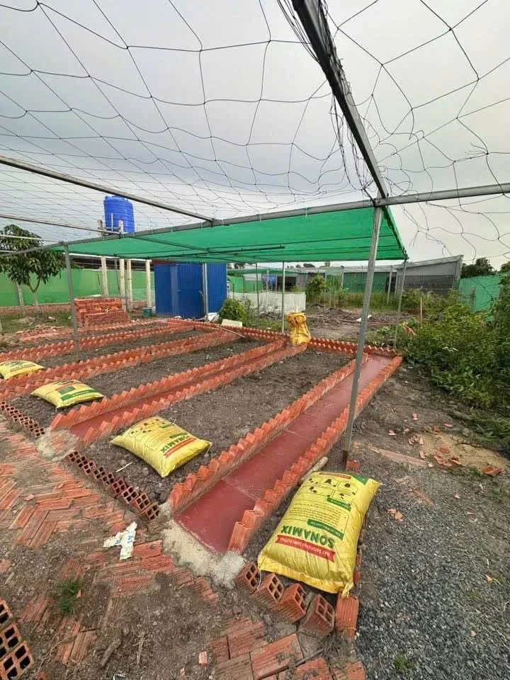 Bán nhà vườn 1000m2 Đức Huệ Long An, 1 tỷ 590 - Ảnh thu nhỏ 5