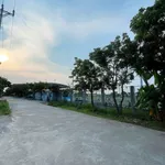 Bán lô đất 100m2 Thành Tô Tràng Cát Hải An - Ảnh thu nhỏ 4