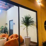 Bán nhà vườn 1800m² gần Phan Thiết, giá 2.2 tỷ - Ảnh thu nhỏ 4