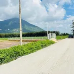 Bán nền đất 145m² full thổ cư xã Phan-Dương Minh Châu Tây Ninh - Ảnh thu nhỏ 1