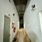 Bán dãy trọ 9 phòng 183m² mặt tiền Bùi Thị Xuân Huế - Ảnh thu nhỏ 5