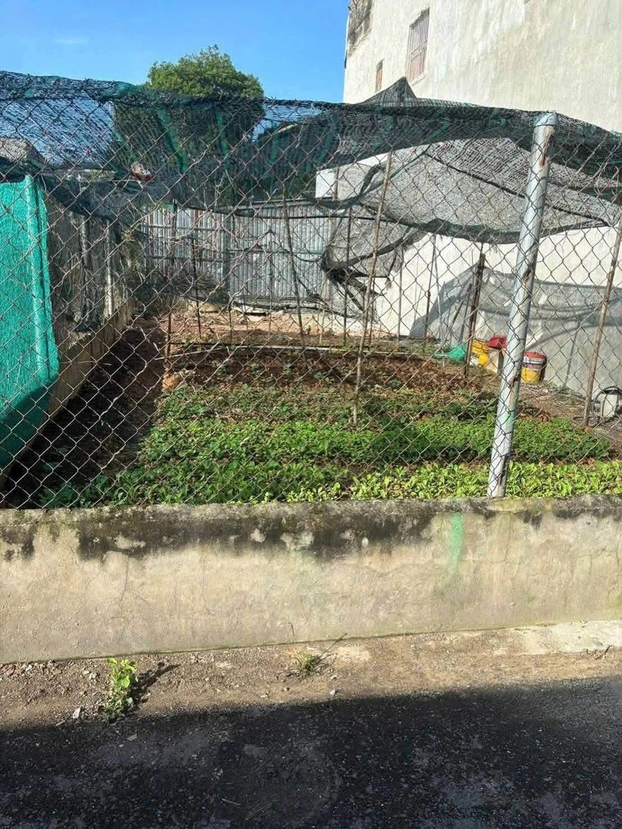Bán đất Quận 12 đường Nhuận Thông 89.6m² giá 1.3 tỷ - Ảnh thu nhỏ 2