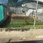 Bán đất Quận 12 đường Nhuận Thông 89.6m² giá 1.3 tỷ - Ảnh thu nhỏ 2