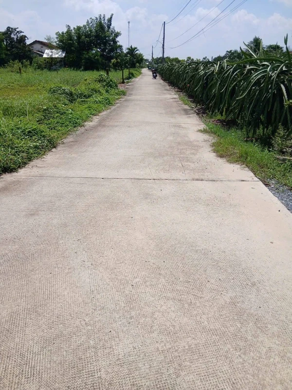 Bán đất thổ cư 10x32m (320m2) xã Dương Xuân Hội, Châu Thành, Long An giá 799 triệu