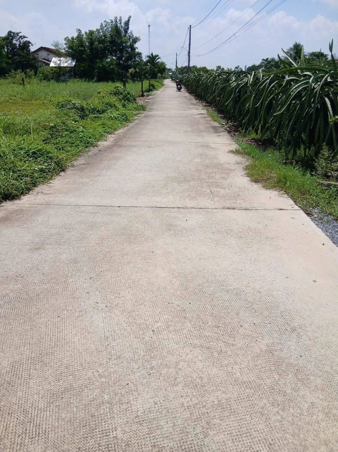 Bán đất thổ cư 10x32m (320m2) xã Dương Xuân Hội, Châu Thành, Long An giá 799 triệu - Ảnh 1