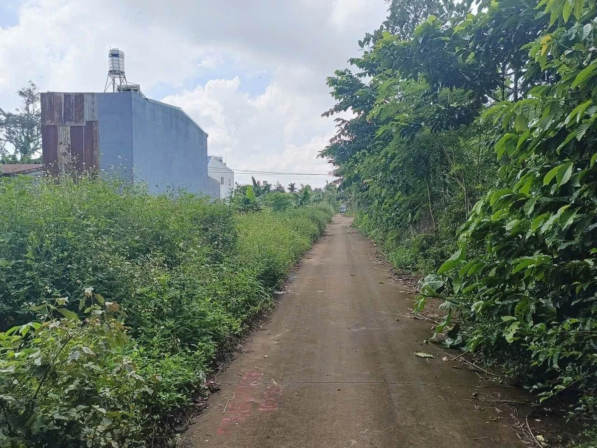 Bán đất 200m² mặt tiền Đường Hồ Chí Minh 1,15 tỷ - Ảnh thu nhỏ 2