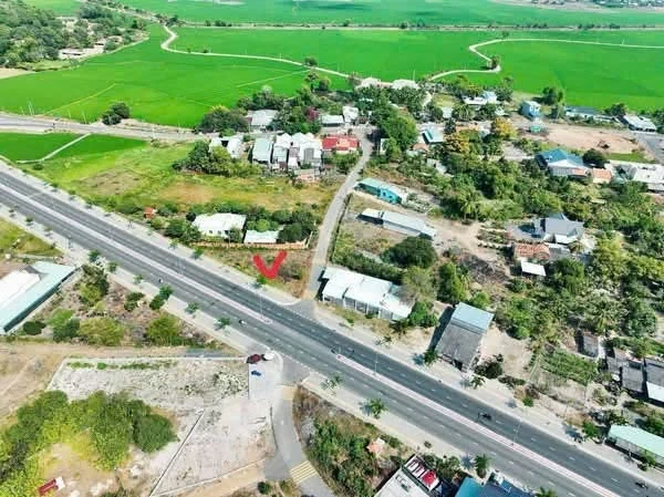 Bán lô góc mặt tiền Tỉnh Lộ 44B 427m2 Phước Hải - Ảnh thu nhỏ 2