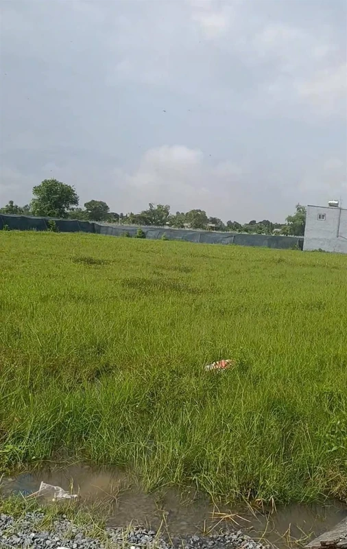 Bán đất Mỹ Hạnh Bắc Đức Hòa Long An 1860m2