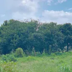 Bán khoảng 9 sào 7 (9745m2) đất phường Tân Thành, Tp. HCM). Giá 13 tỷ - Ảnh thu nhỏ 3