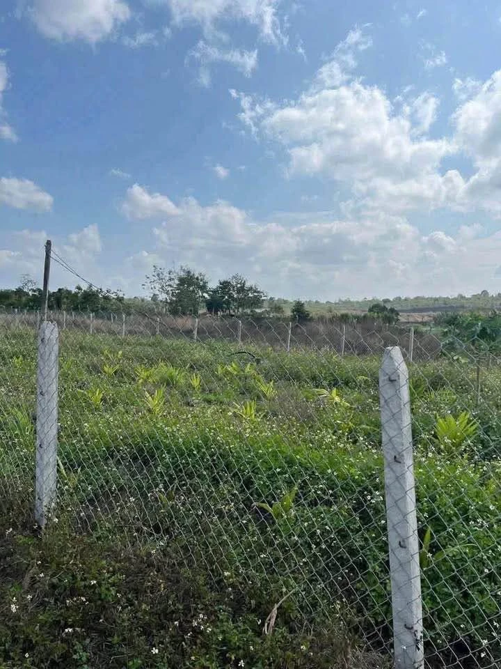 Bán đất 500m2 sổ riêng Buôn Ma Thuột 399 triệu - Ảnh thu nhỏ 4