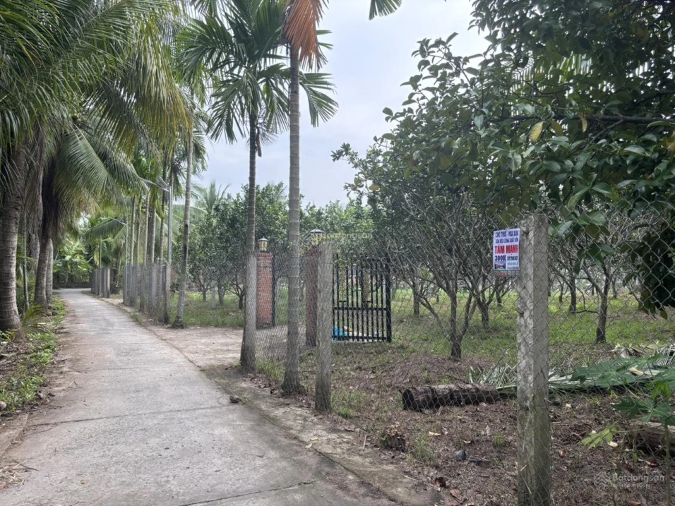 Chính chủ bán lại đất vườn, có thổ cư tại xã Tân Thạch, huyện Châu Thành, tỉnh Bến Tre - Ảnh thu nhỏ 5
