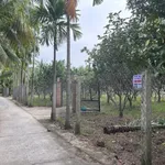 Chính chủ bán lại đất vườn, có thổ cư tại xã Tân Thạch, huyện Châu Thành, tỉnh Bến Tre - Ảnh thu nhỏ 5